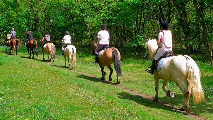 Paseos a caballo en Valencia