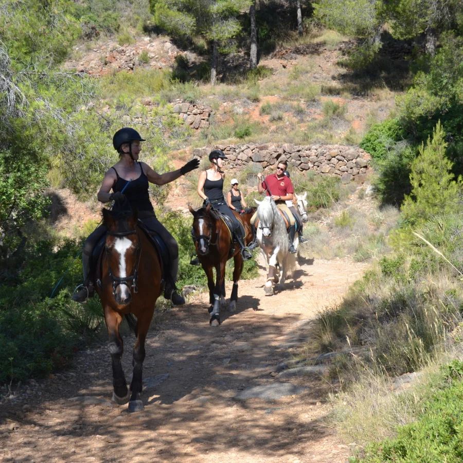 Paseos a caballo en Valencia