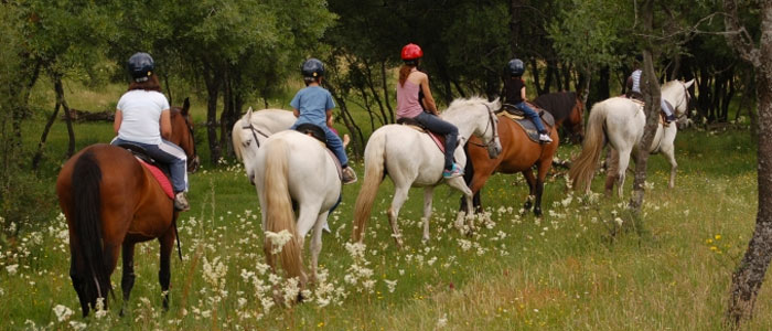 Paseos a caballo en Valencia