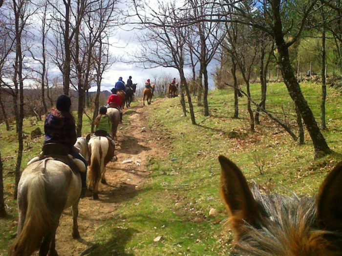Paseos a caballo en Valencia