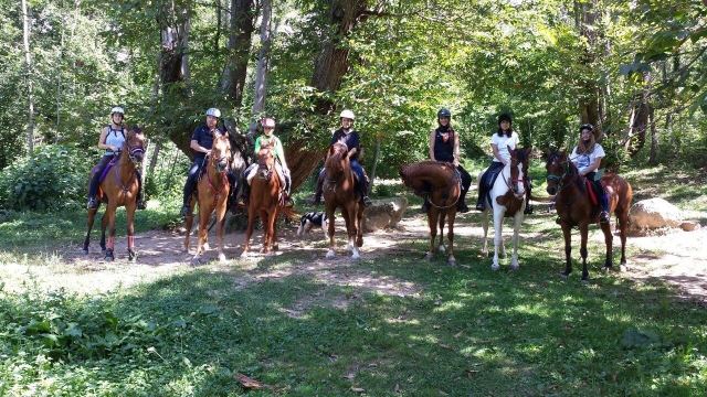 Paseos a caballo en Valencia