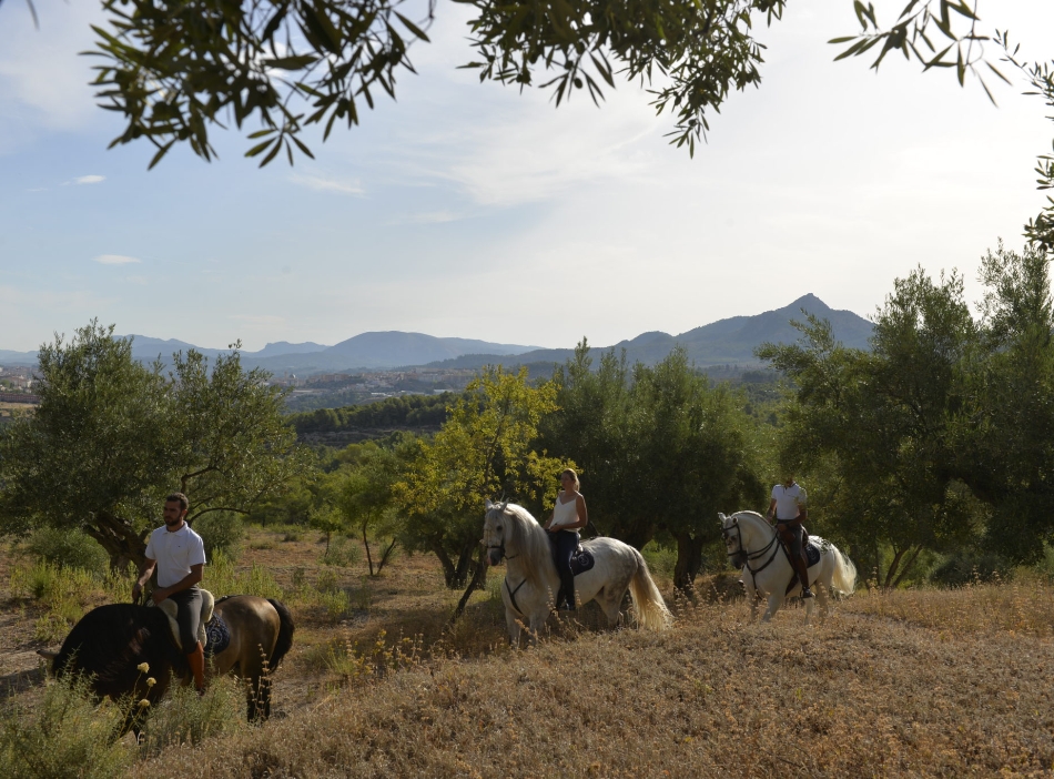 Paseos a caballo en Valencia