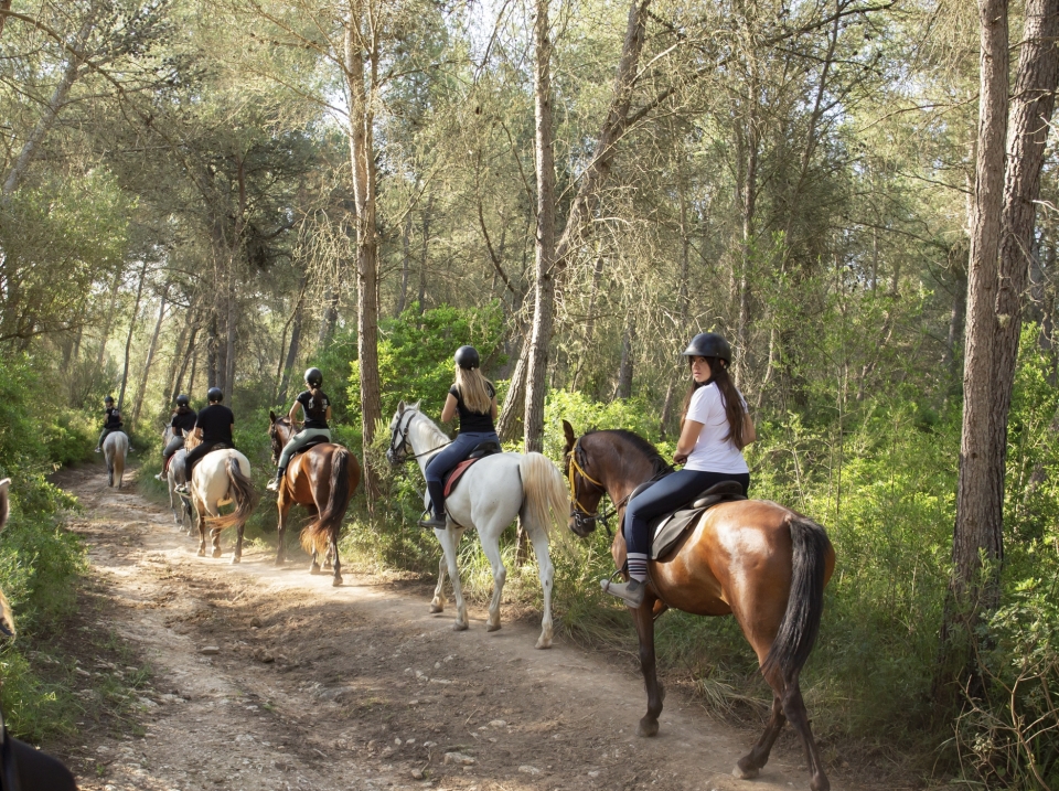 rutas a caballo